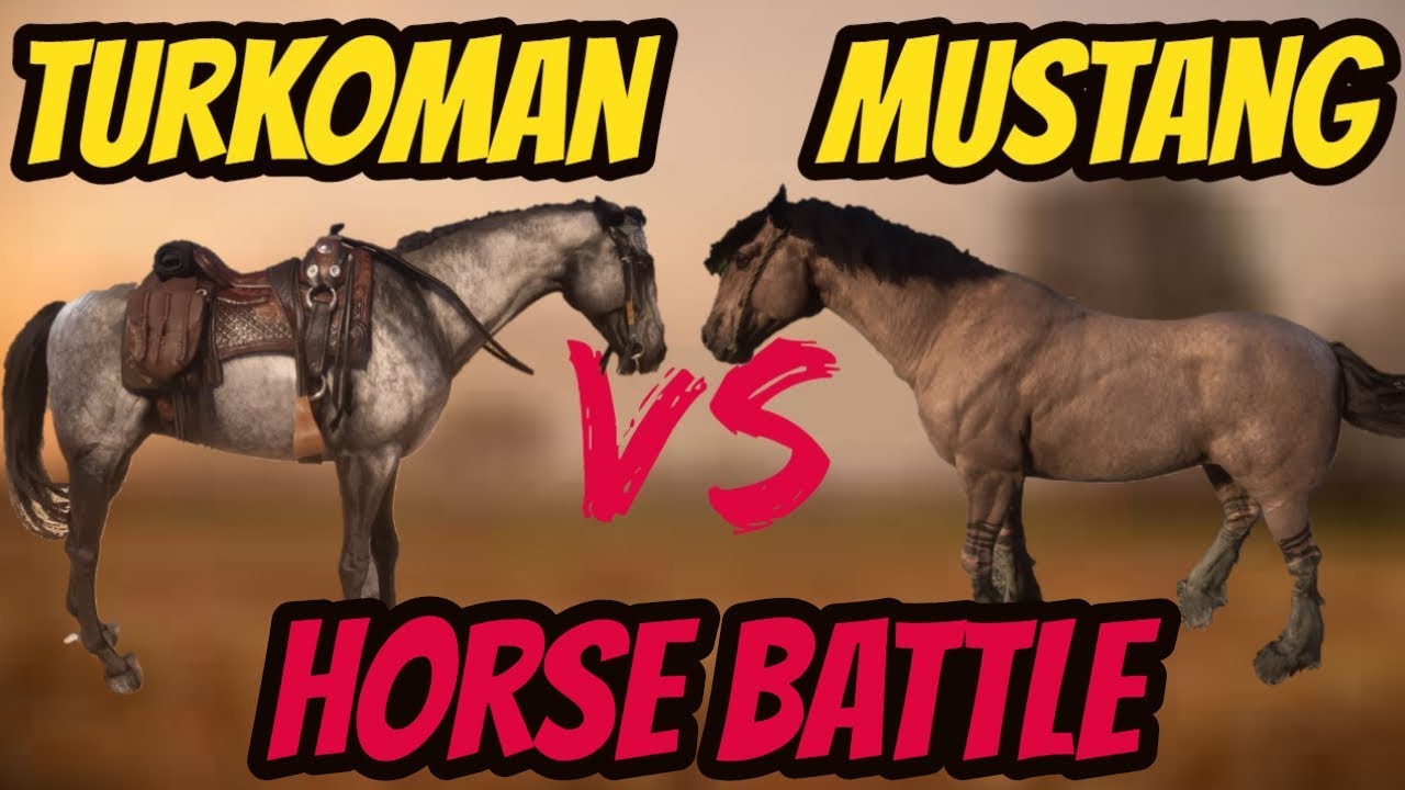 RDR2 Turkoman VS Mustang! Battle Of The Best Horse!