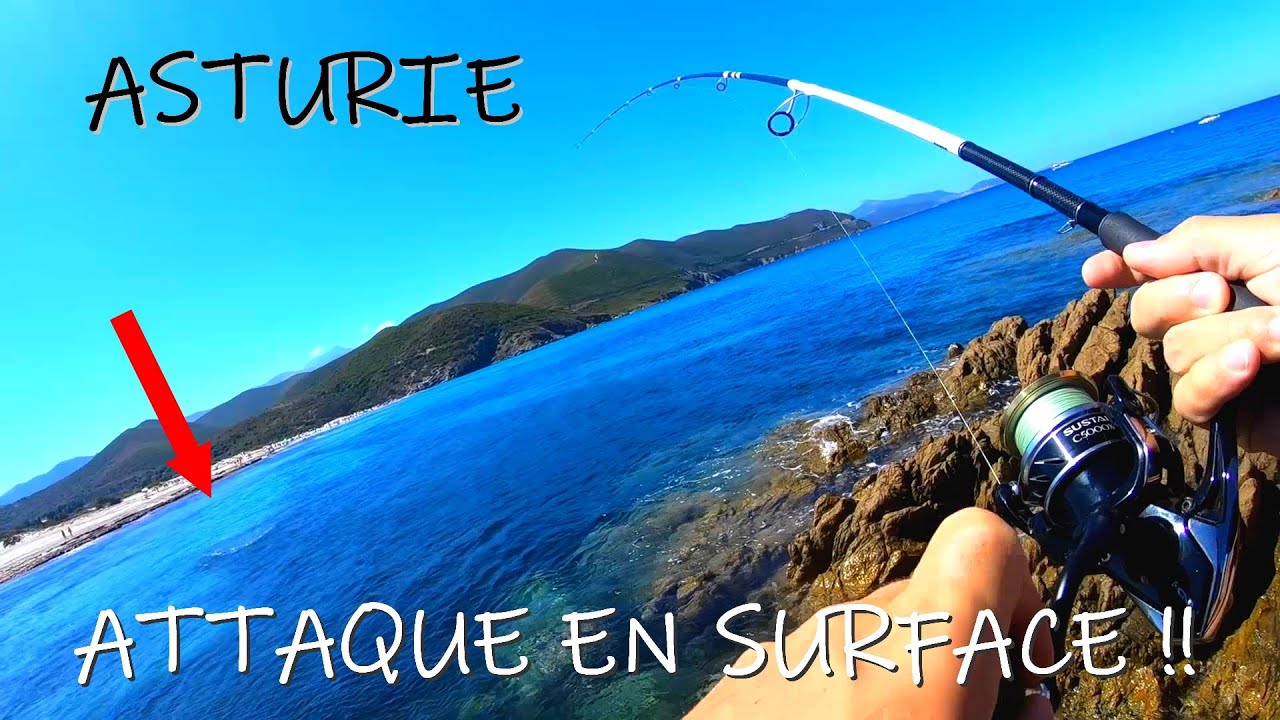 Topwater Shore Fishing Corsica, leerfish and seabass