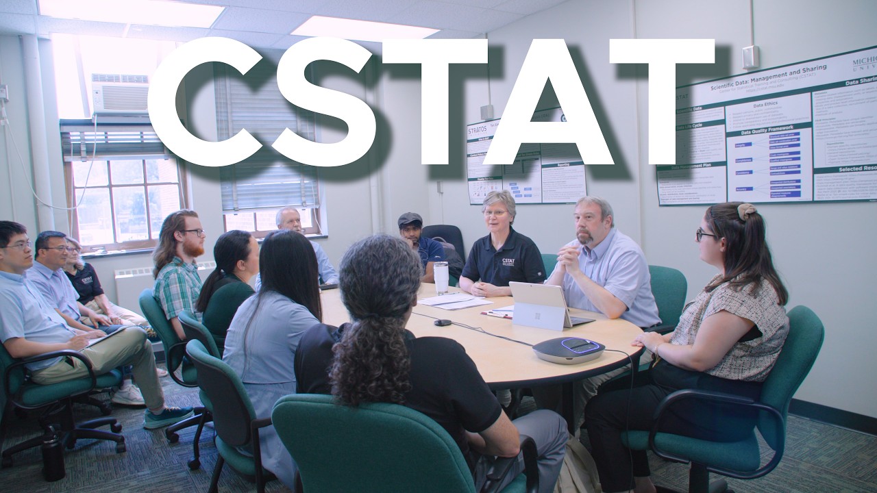 Center for Statistical Training and Consulting (CSTAT) at Michigan State University
