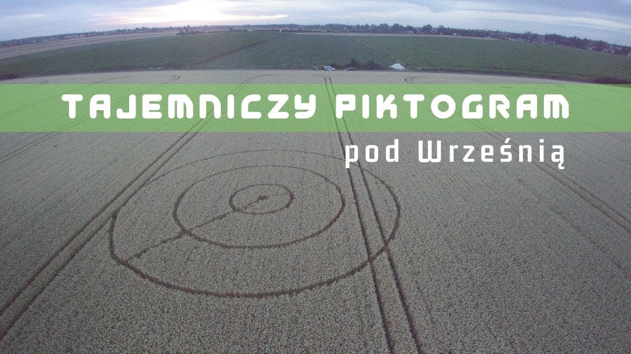 Tajemniczy piktogram na polu pod Wrześnią. Kto go zrobił?