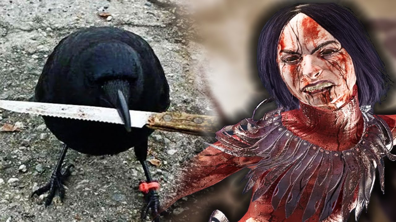 beware of the bird lady