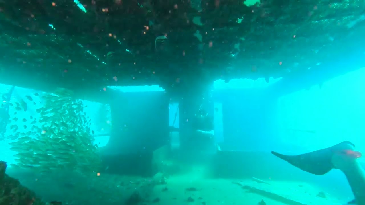 غوص بوكيت (تايلند) Phuket scuba diving (Thailand)