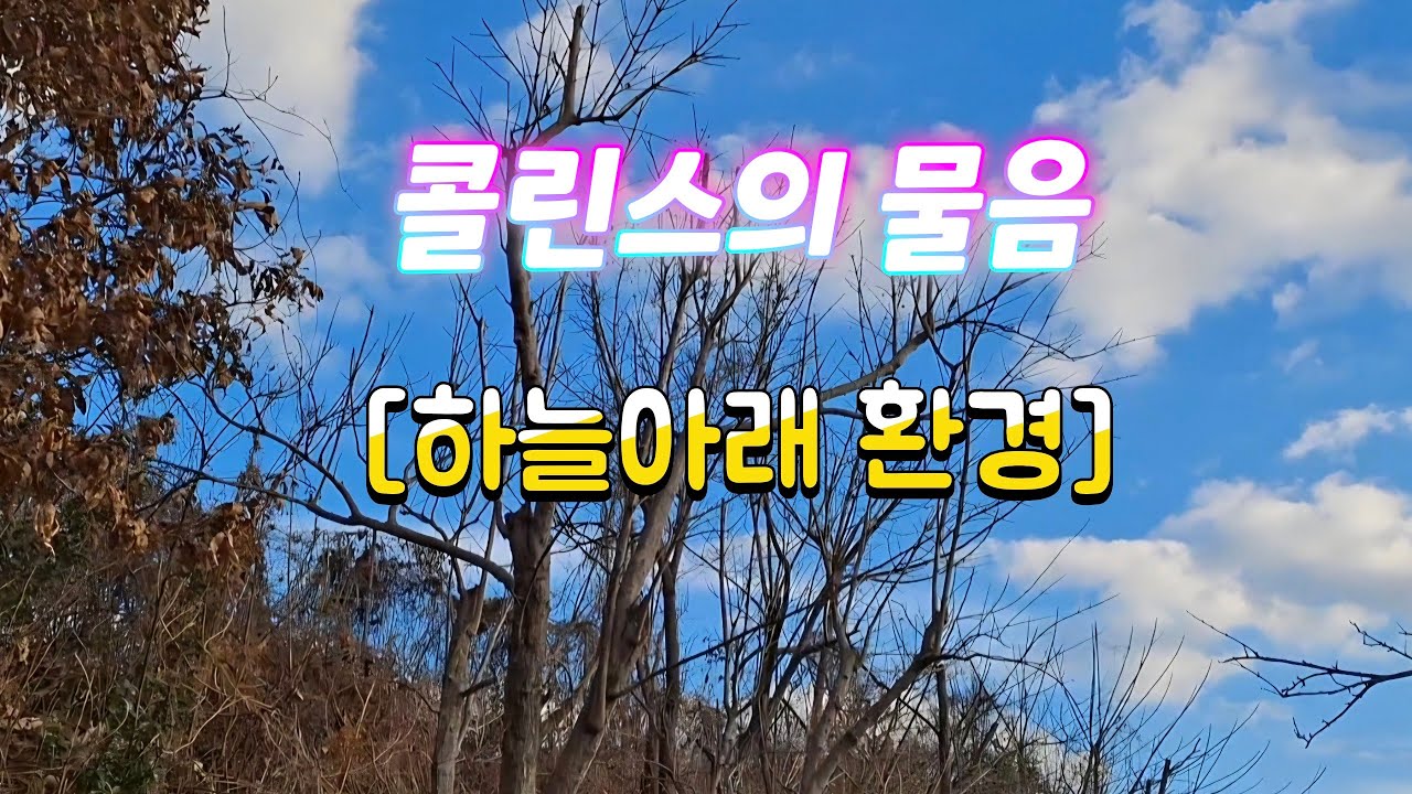 콜린스의 물음 [하늘아래 환경]