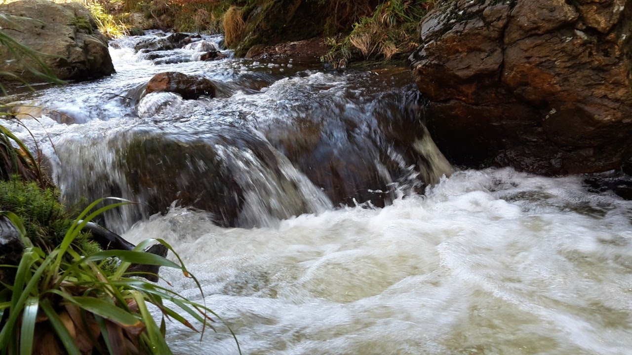 Wandelen Waalse Ardennen Solwaster 7