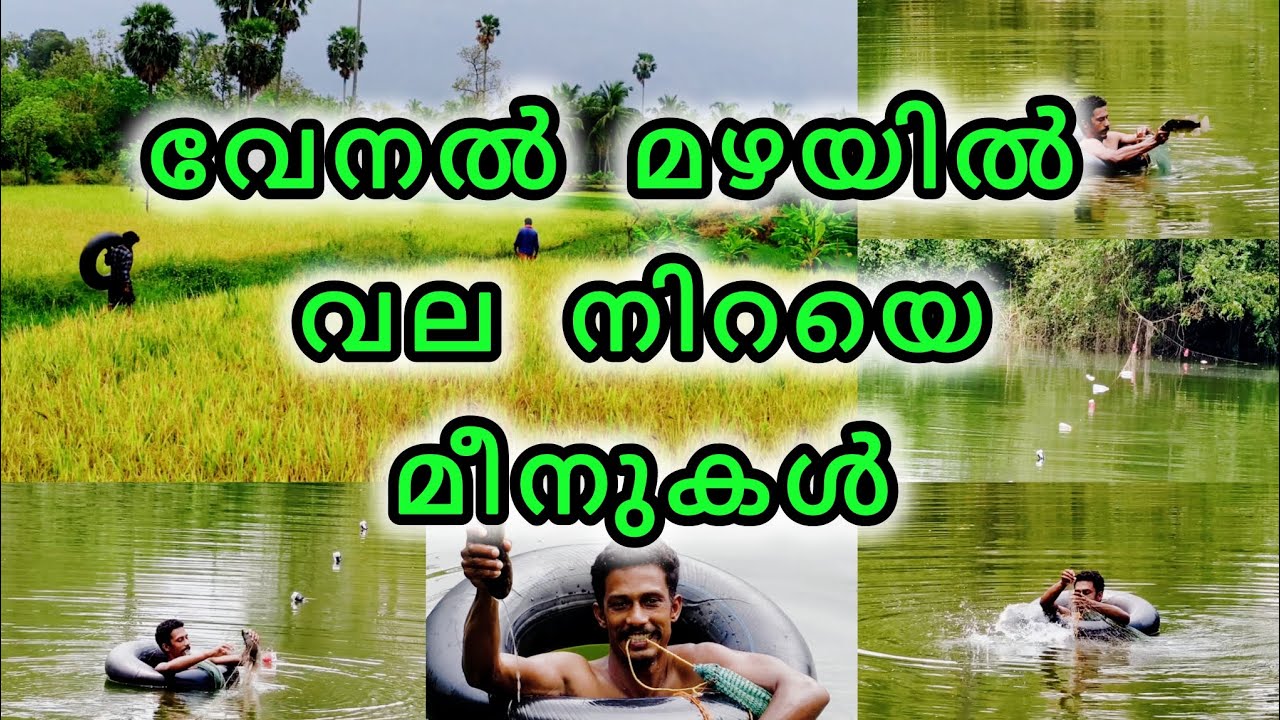 നല്ല മീൻ ചാകര 🔥| Fishing vlog | | Palakkad | Village Meenkaran