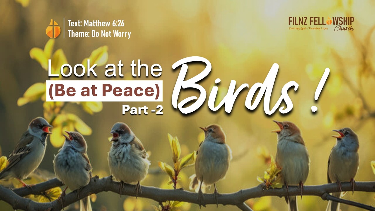 Look At The Birds (Be at Peace) | Full Preaching 22-02-26