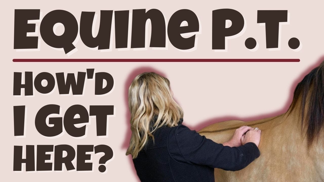 How did I become an Equine Physical Therapist (CERP)?