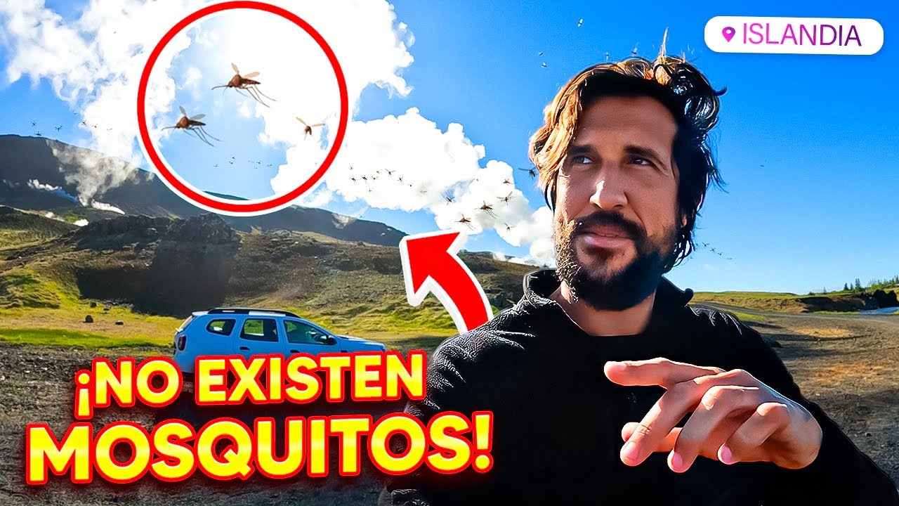 En este País NO existen los MOSQUITOS y ESTA es la RAZÓN | Islandia🇮🇸