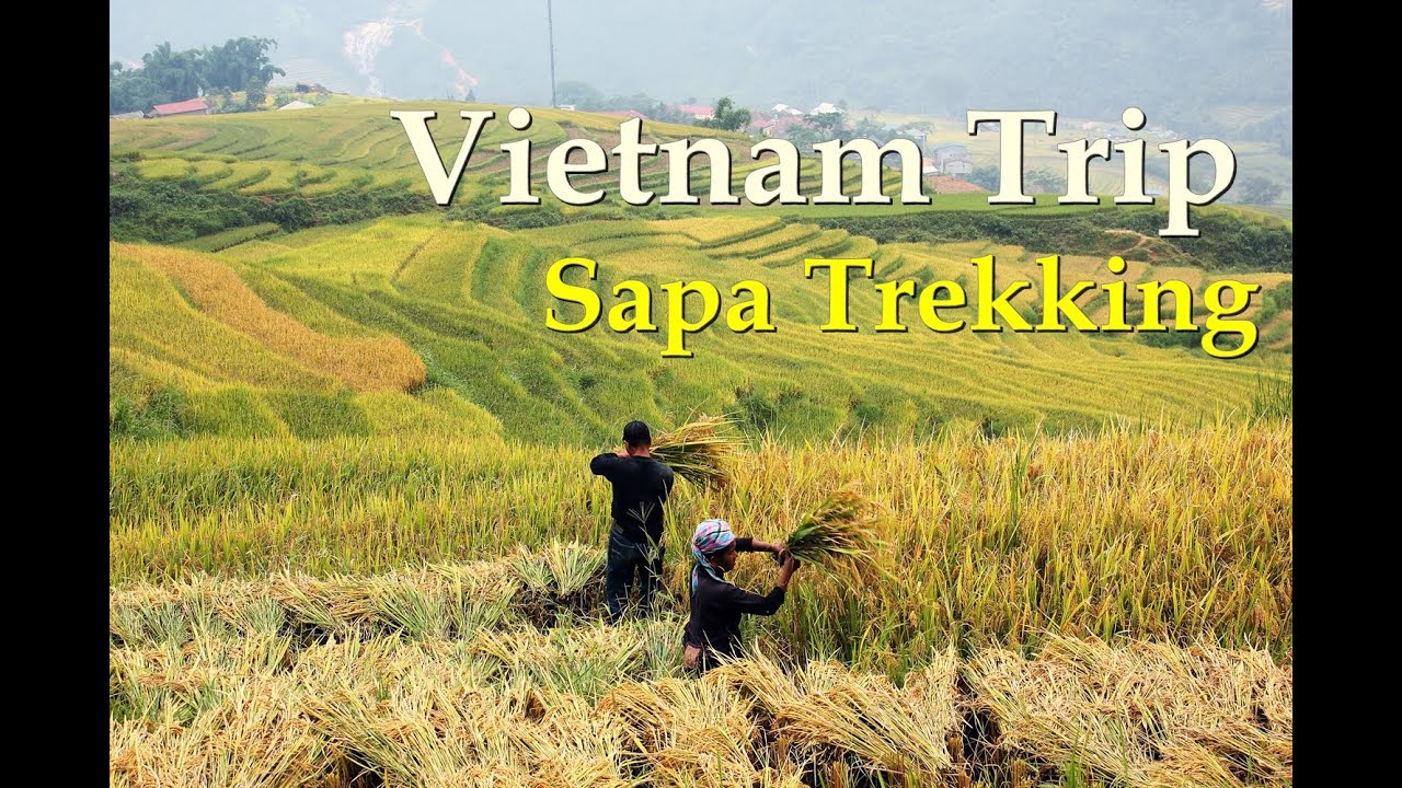 #2 SAPA. Qu&eacute; ver y hacer en Sapa | Vietnam Trip