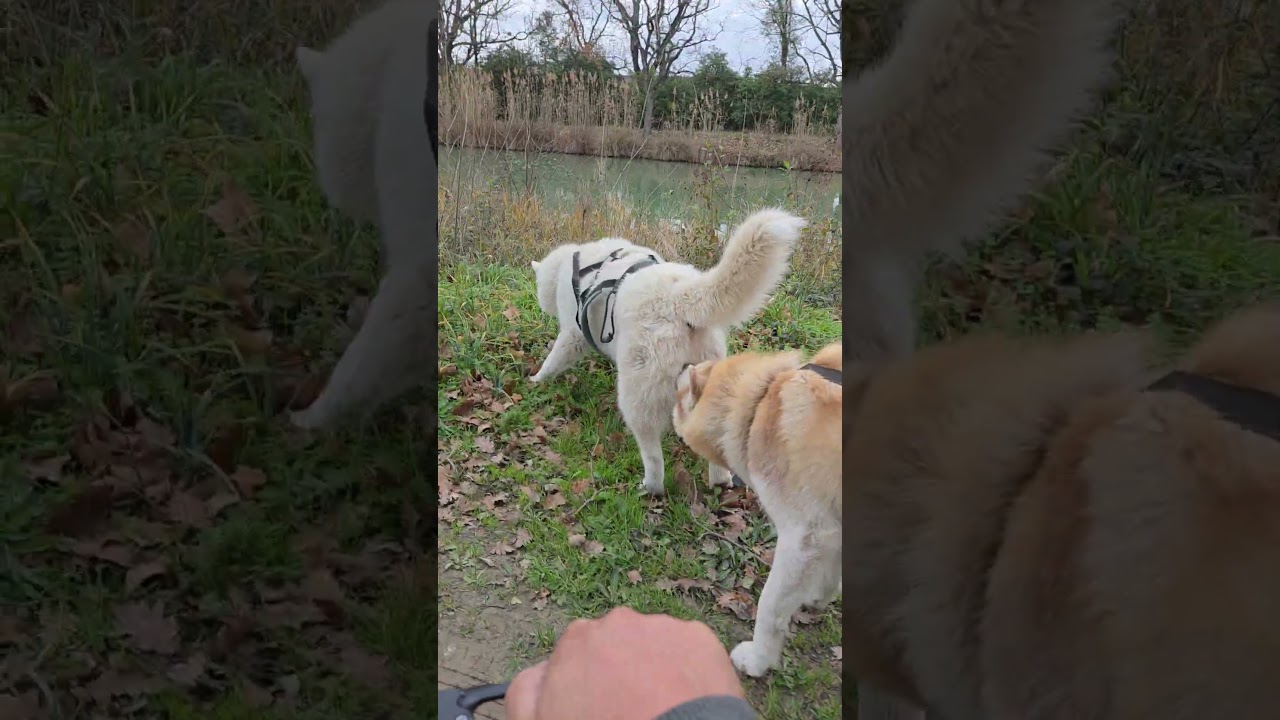 encore de la casse . 