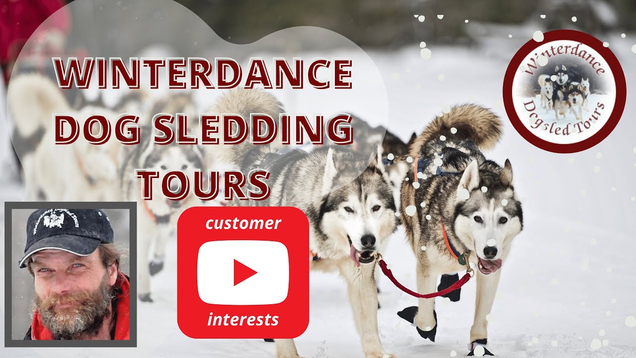 Winterdance Dog Sledding Tours Haliburton Ontario Customer Interests
