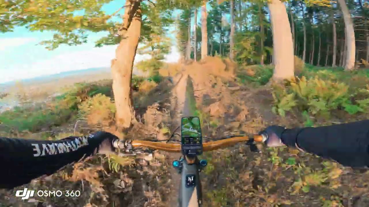 Als Anfänger im Trailpark Mehring - Rote 3 - Bambi auf der Piste - Specialized Levo G4 - Osmo 360