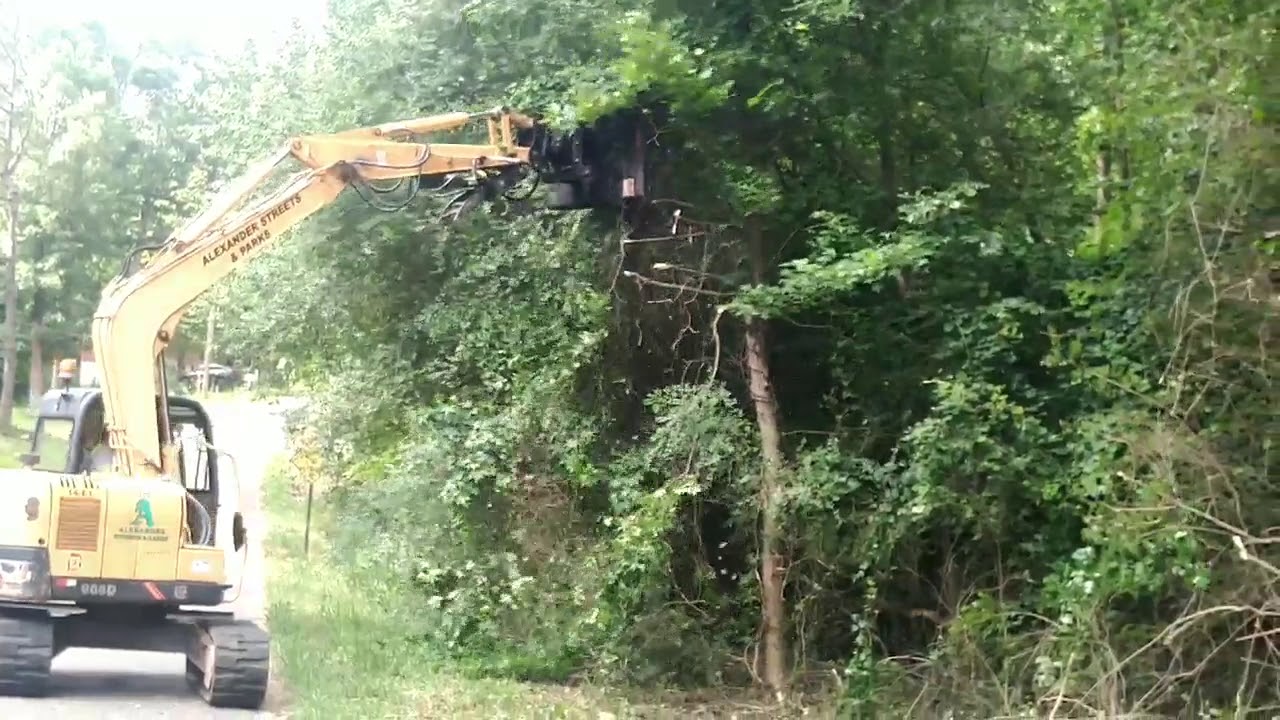 Roadside clearing with your excavator and the Brush Wolf 4800X