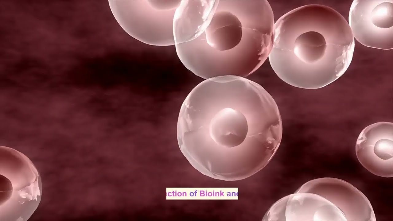 Bioprinting Human Organs | Building a future for Regenerative Medicine | Tissue Engineering