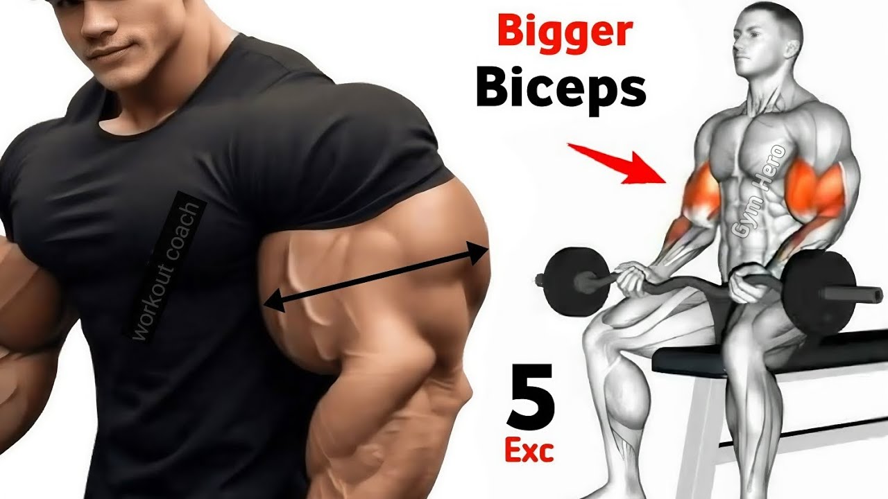 8 Advance Biceps Exercise For Bigger & Wider Arms