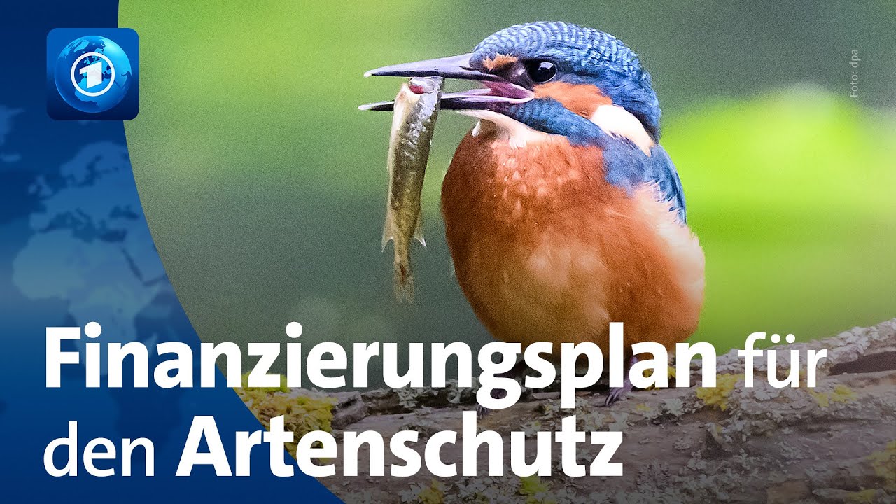 Weltnaturkonferenz einigt sich auf Finanzierung f&uuml;r weltweiten Umwelt- und Artenschutz