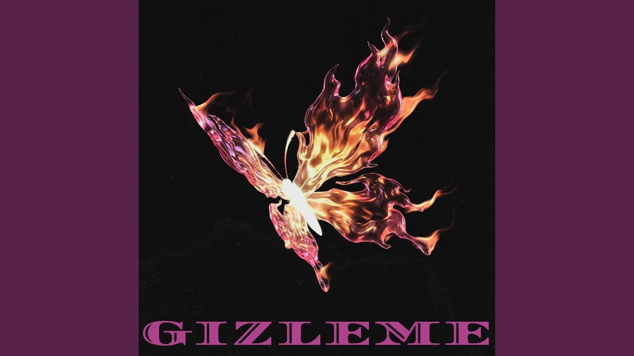 Gizleme