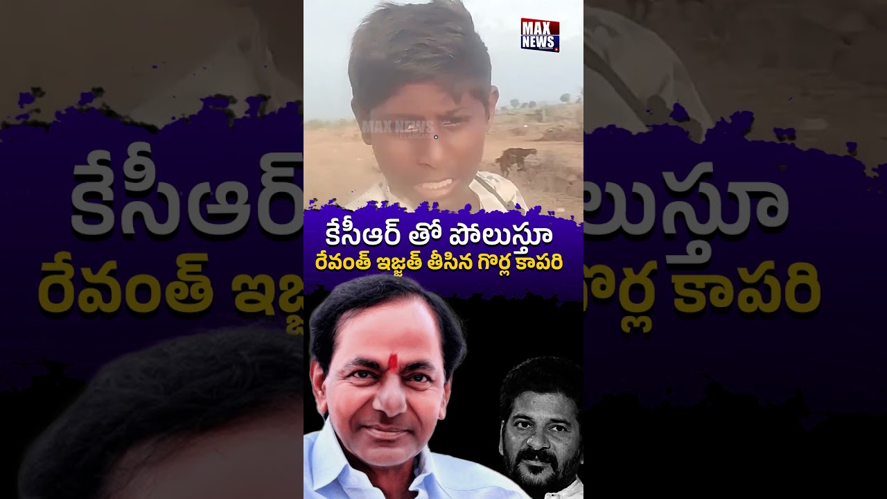 కేసీఆర్ తో పోలుస్తూ.. రేవంత్ ఇజ్జత్ తీసిన గొర్ల కాపరి.. | Shepherd Satires On Revanth Reddy | MN