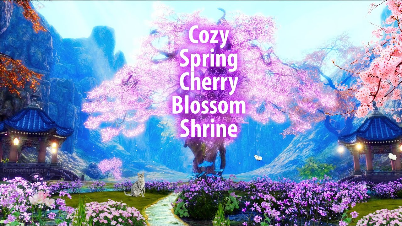 Cozy Spring Cherry Blossom Shrine 🌸 ASMR Ambience (trickling water, birds, chimes)