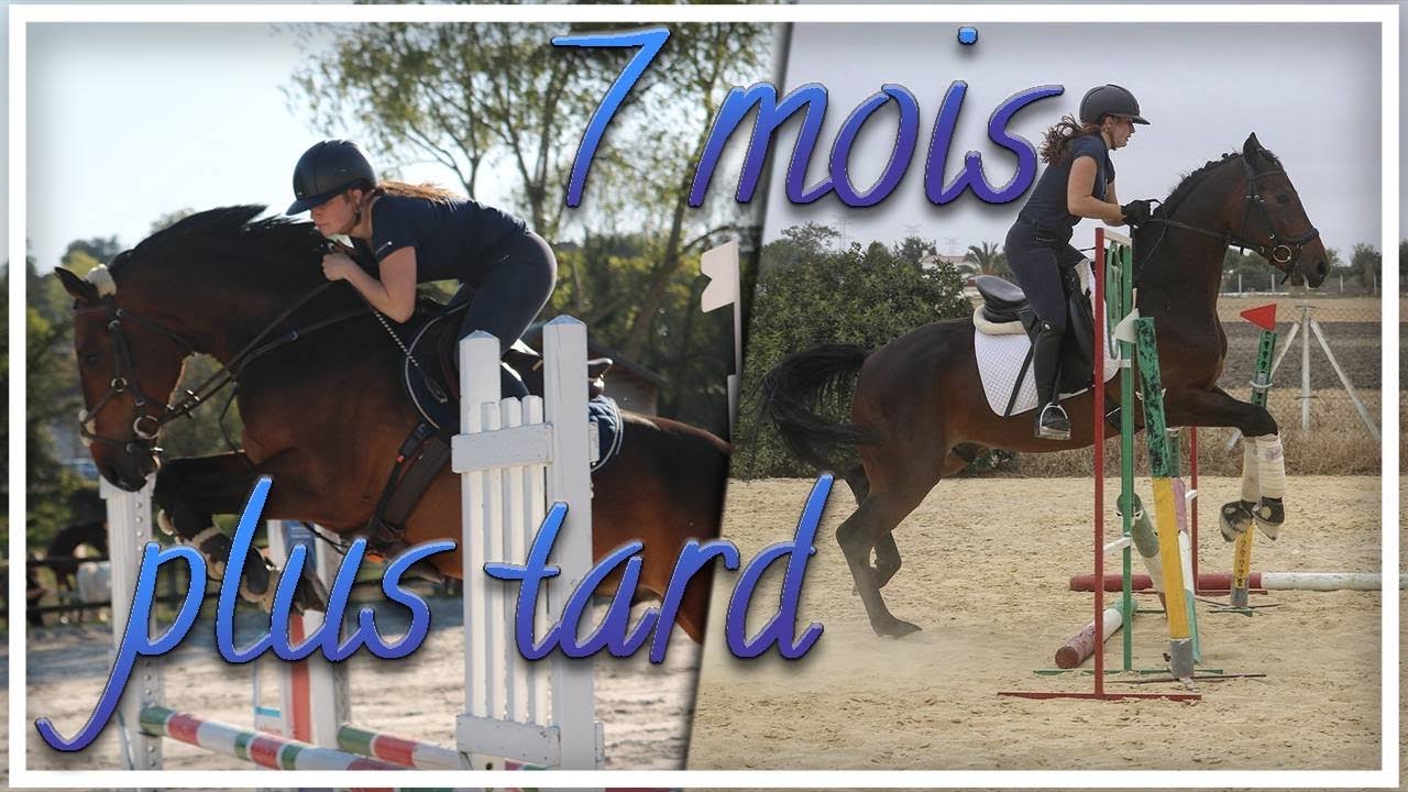 Flavor & Luna - 7 mois plus tard...