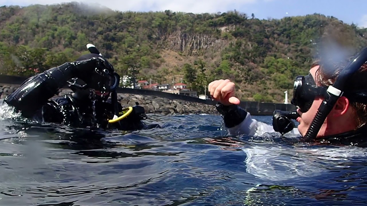 Dive Trip to Izu Peninsula