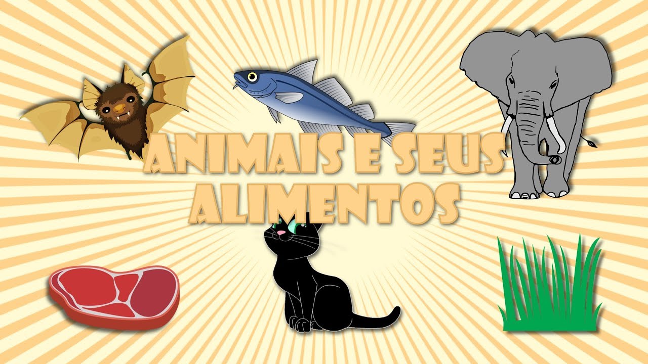 ANIMAIS CARNÍVOROS, HERBÍVOROS E ONÍVOROS