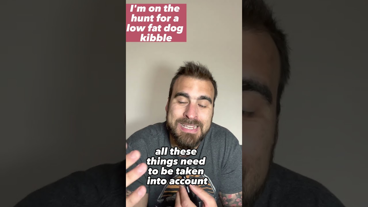 Best Dog Food For Pancreatitis. Low Fat Dog Food. 