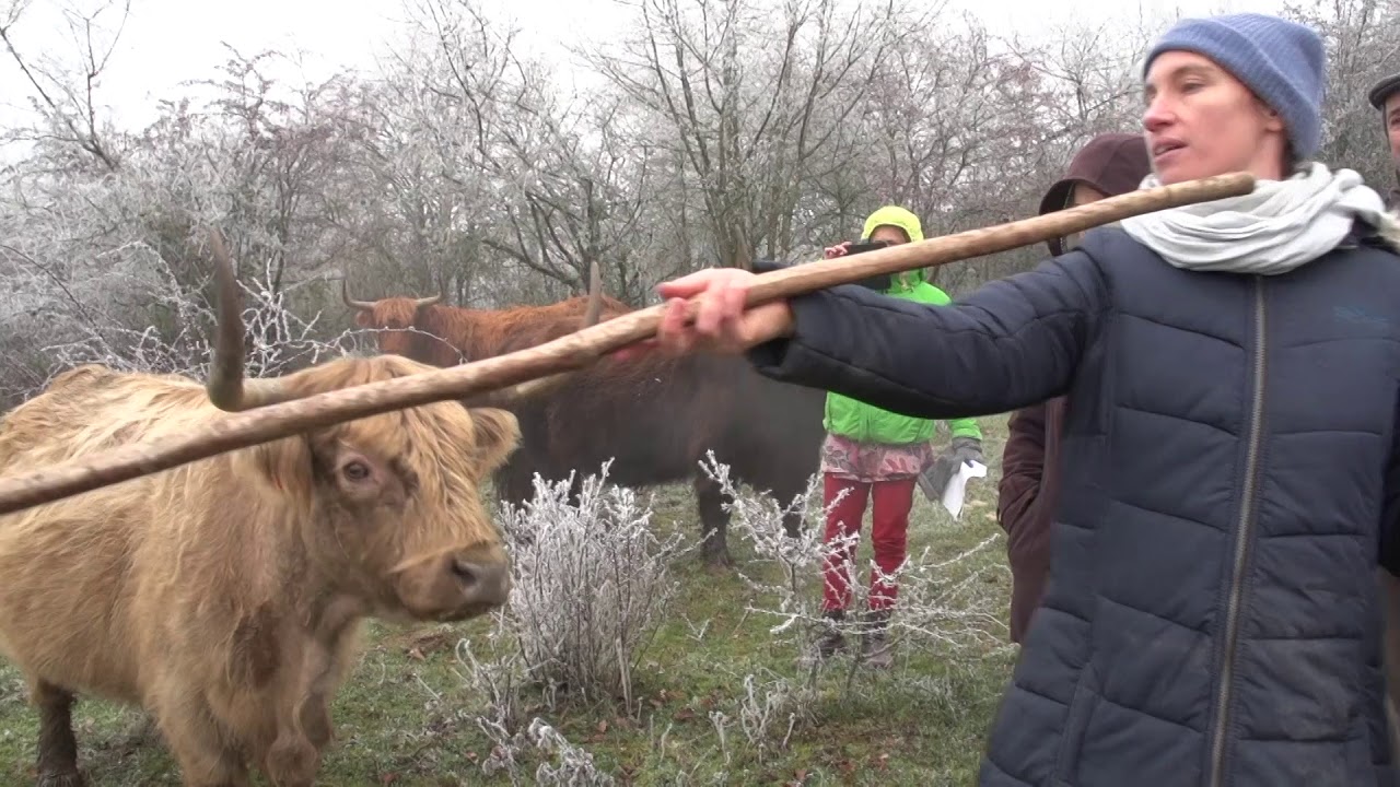 Visite GAEC ferme sur la tour