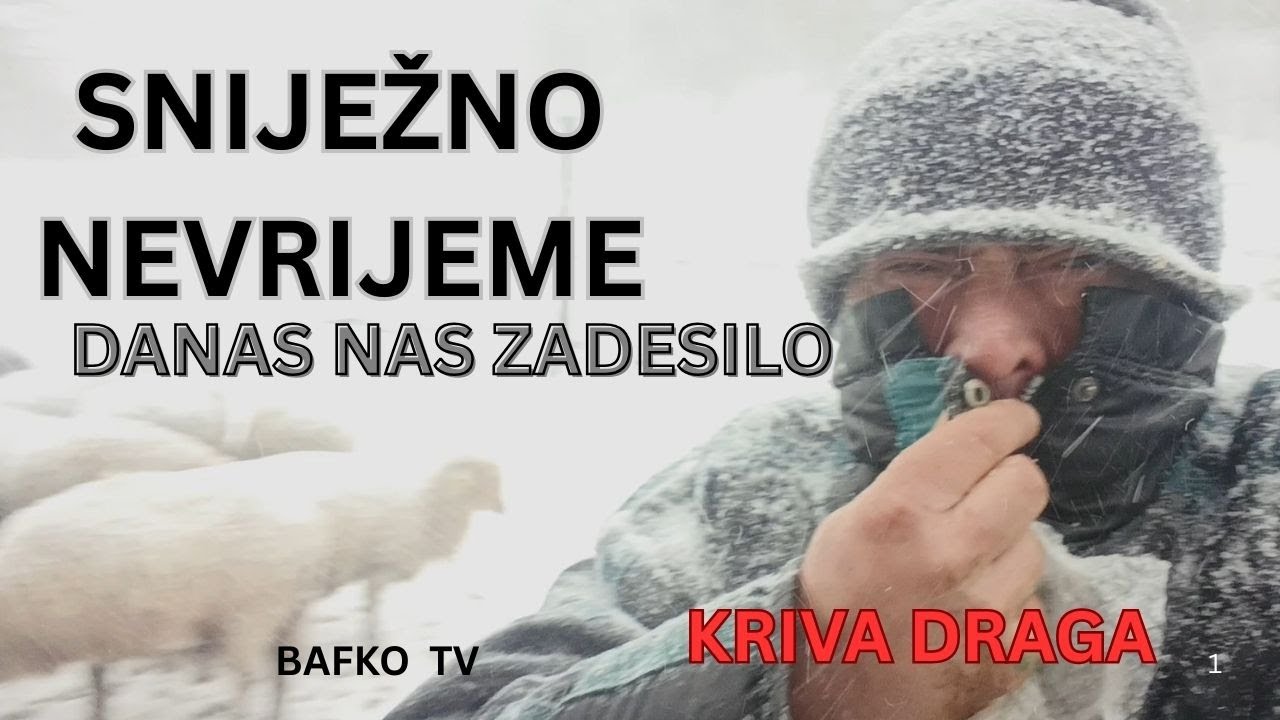SNIJEŽNO NEVRIJEME - IZGIDE STOKA @BAFKO TV69