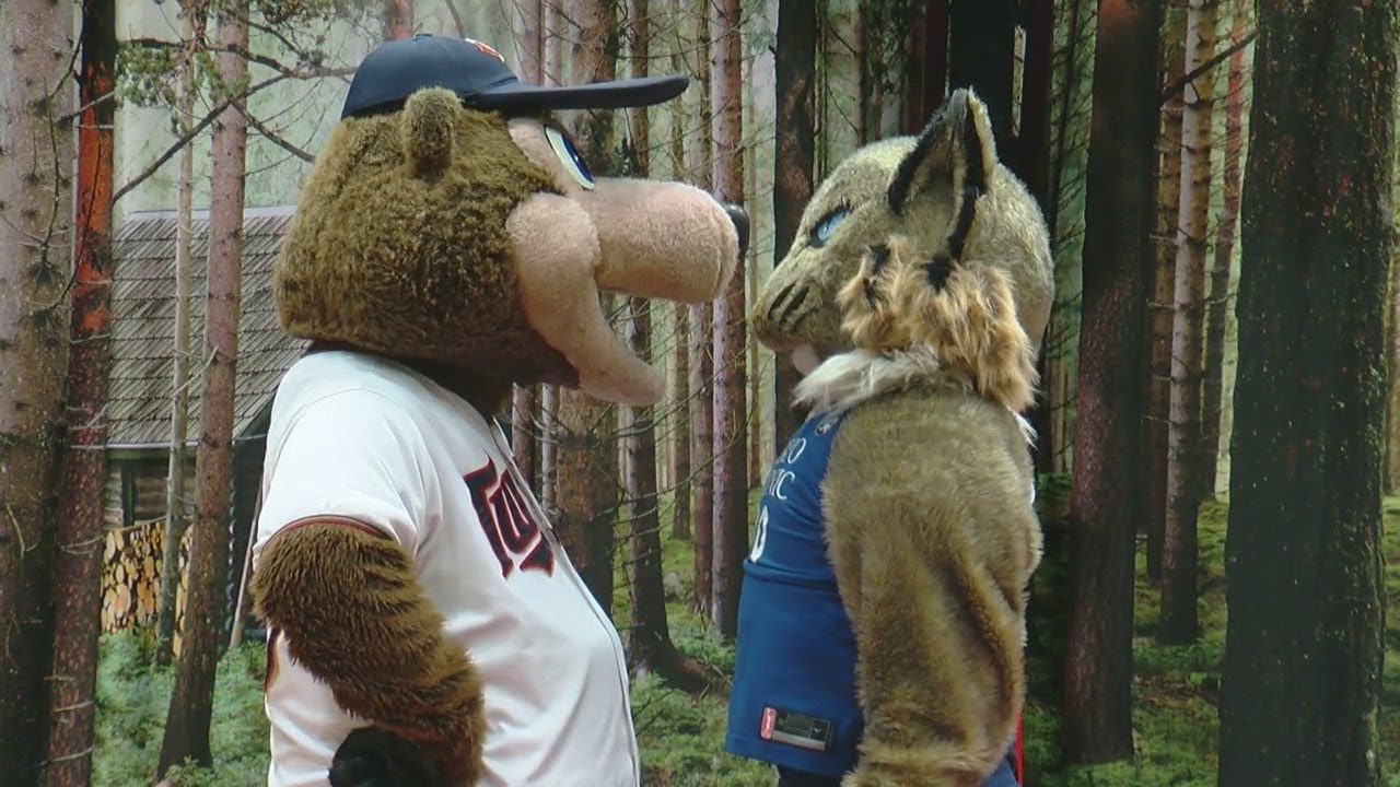 Lumber Jam Mascot Challenge Championship: T.C. Bear Vs. Prowl