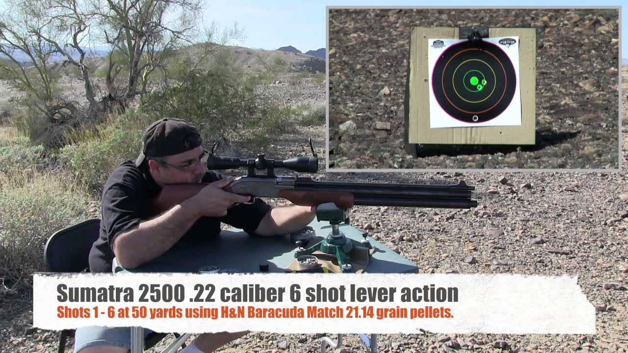 Sumatra 2500 .22 airgun review by AirgunWeb