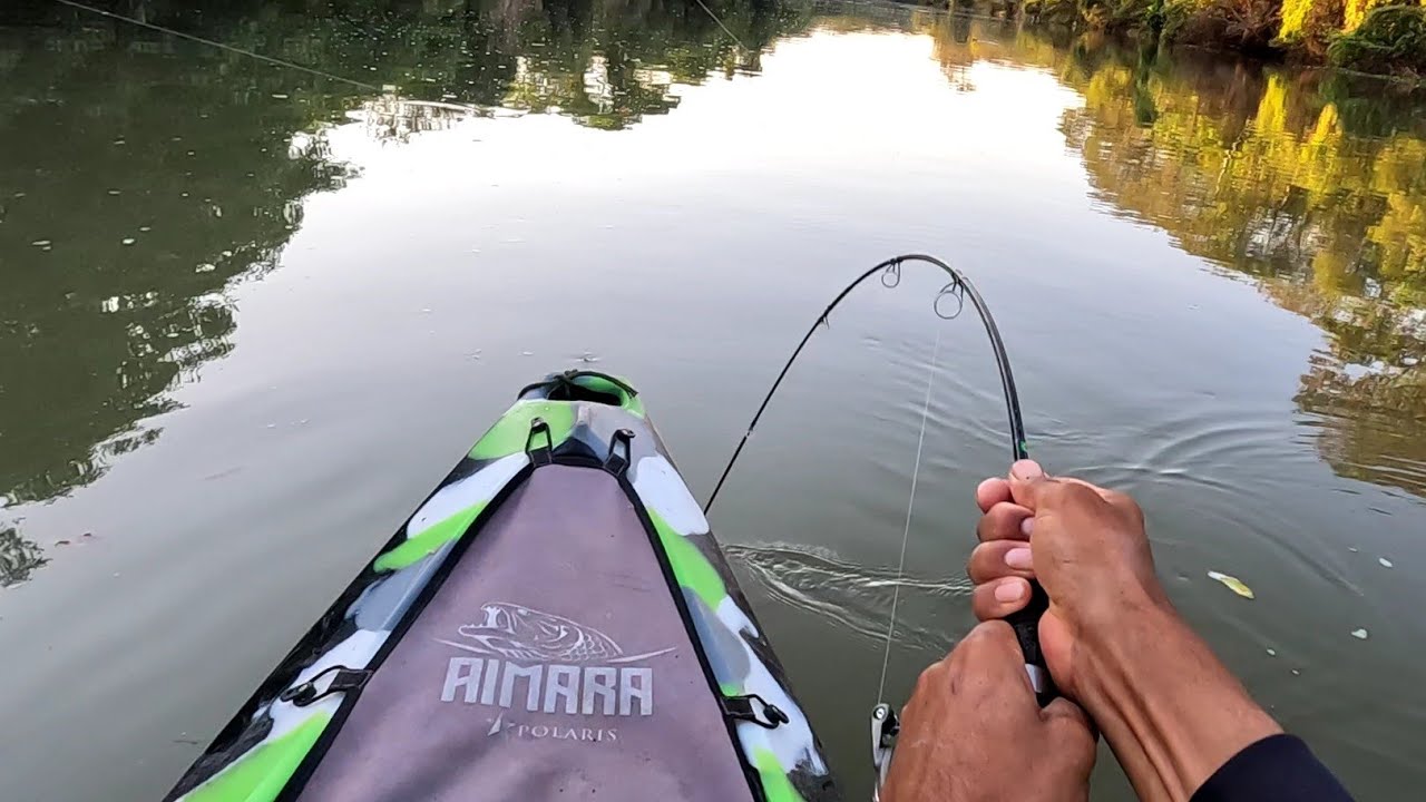 Extremamente Gigante jamais imaginei Pegar esse peixe usando minhoca Pescaria no Rio turvo