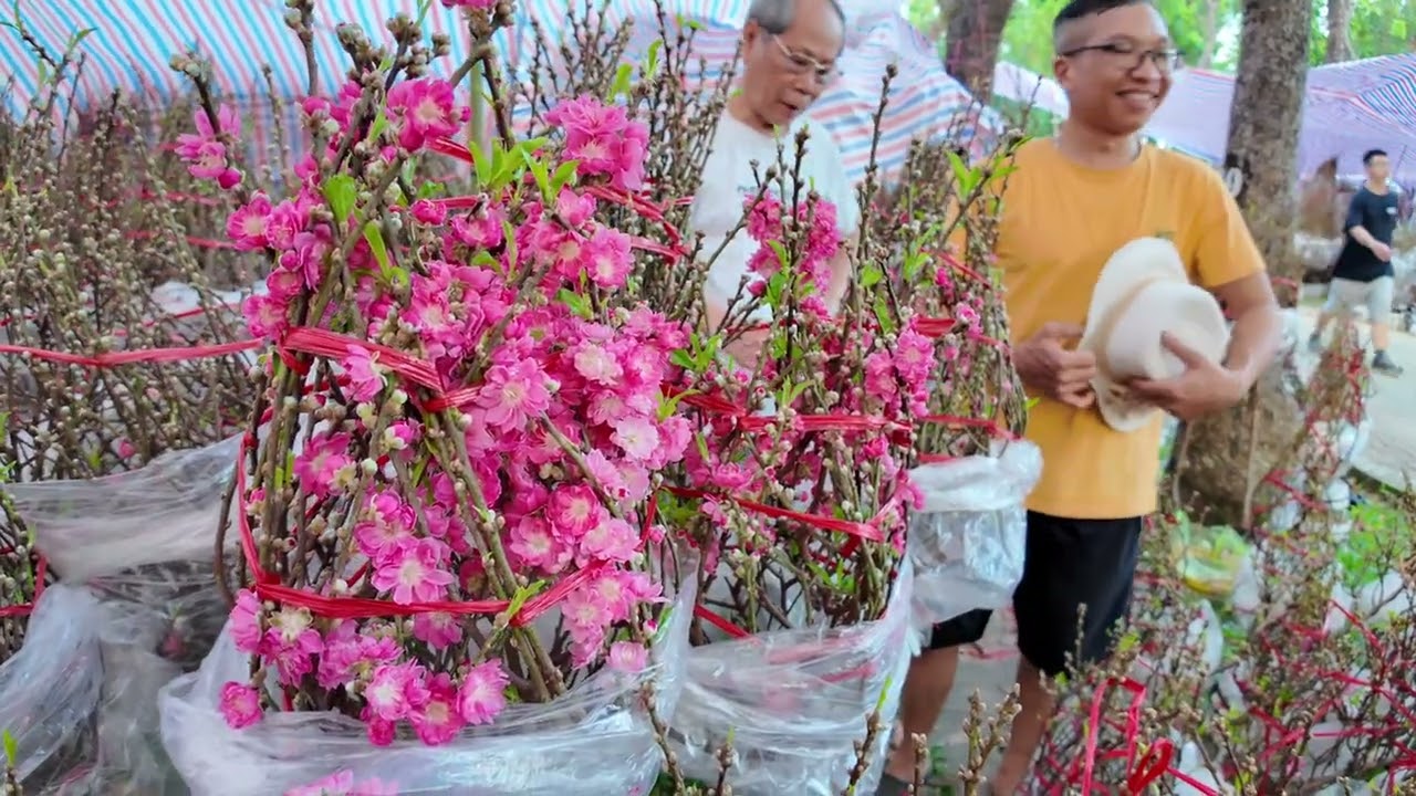 Hoa Tết Sài Gòn | Lan hồ điệp hút khách - Phu Tha