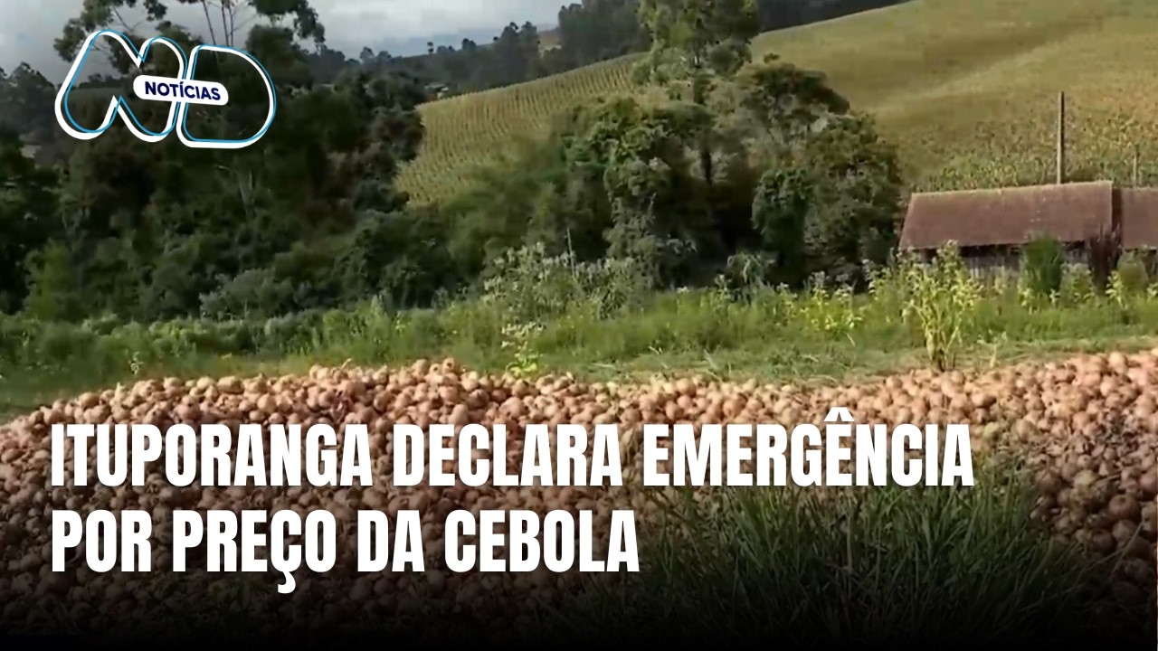 Ituporanga decreta emergência por queda no preço da cebola