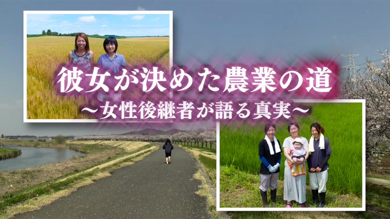 【documentary12】彼女が決めた農業への道「花の米編」