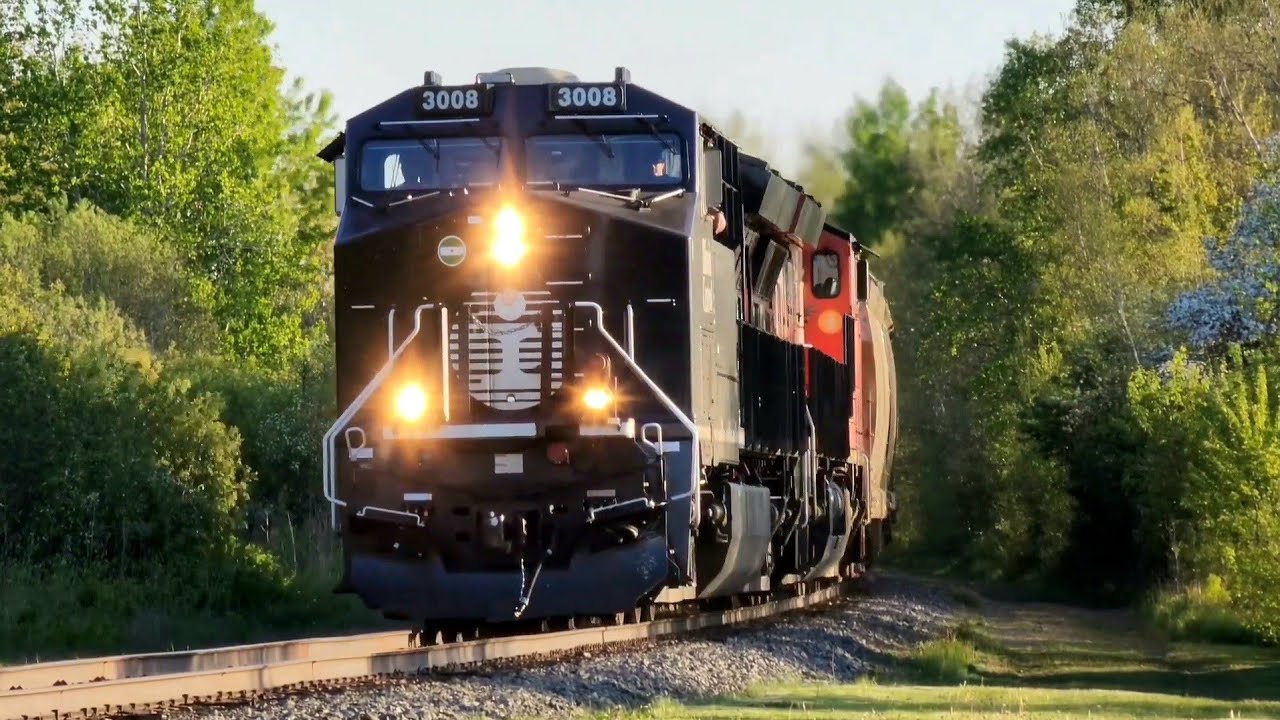 HERITAGE UNIT LEADER!! IC 3008 Trails and Leads on CN Train