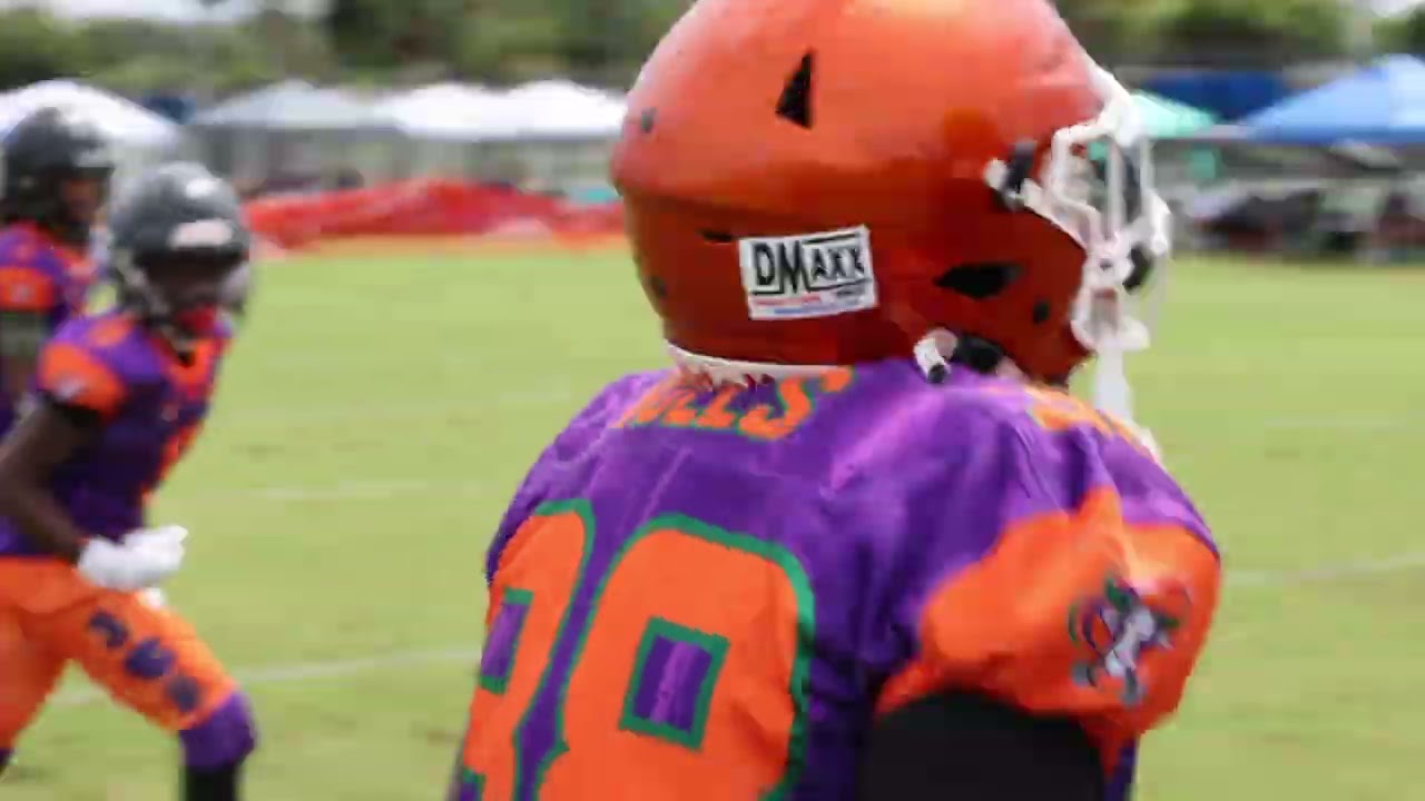 TRI CITY BULLS 12U 386 ELITE vs VOLUSIA TIGERS 12U