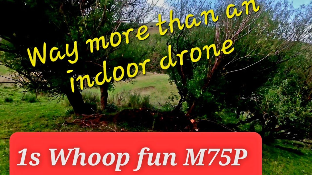 1s Whoop Fun - Meteor75 Pro 