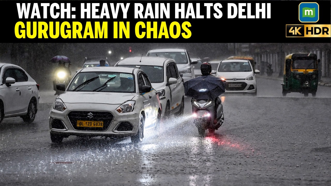 WATCH: HEAVY RAIN HALTS DELHI, Gurugram Traffic Paralyzed as Massive Downpour Batters Delhi-NCR