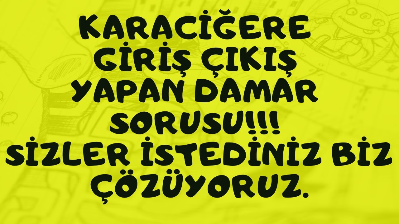 KARACİĞERE GİRİŞ ÇIKIŞ YAPAN DAMAR SORUSU!!! SİZLER İSTEDİNİZ BİZ ÇÖZÜYORUZ.