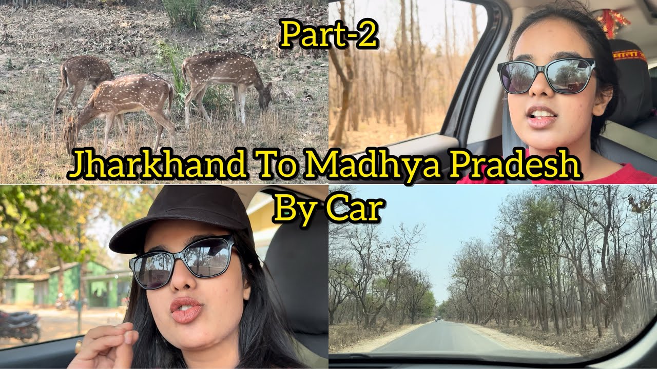 Jharkhand To Madhya Pradesh By Car 🚙 | Payal Panchal Vlog | Travel 