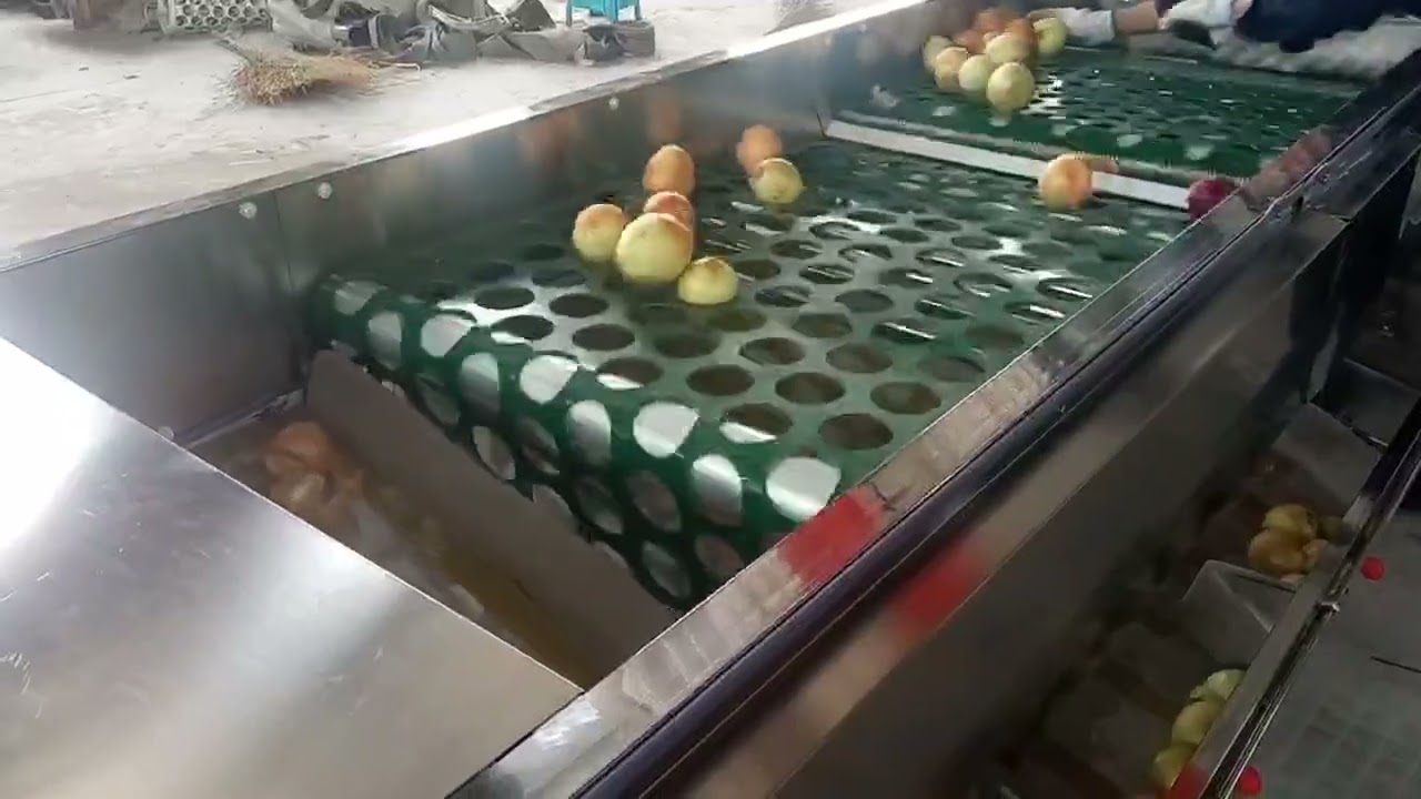Onion Sorting Machine, Onion Grading Machine, 3 grades