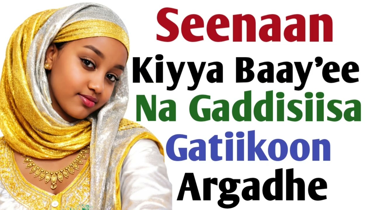 Seenaa Kiyya Baay'ee Na Gaddisiisa Gatiikoon Argadhe