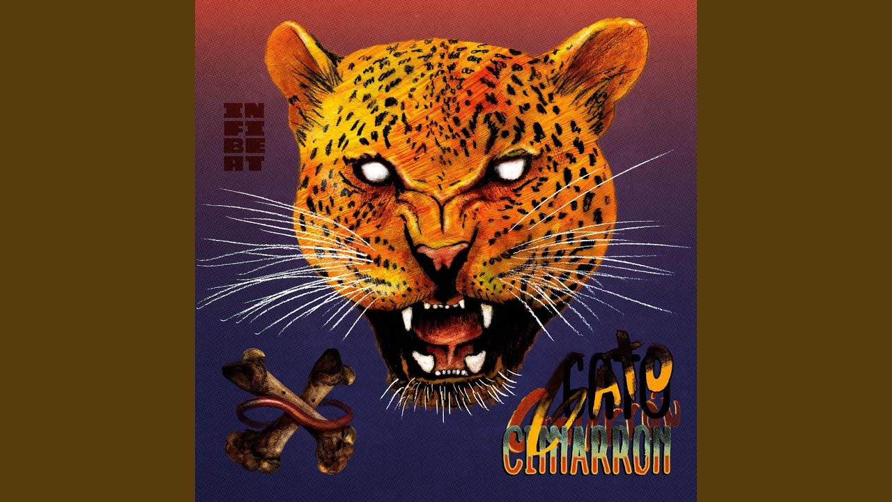 Gato Cimarrón