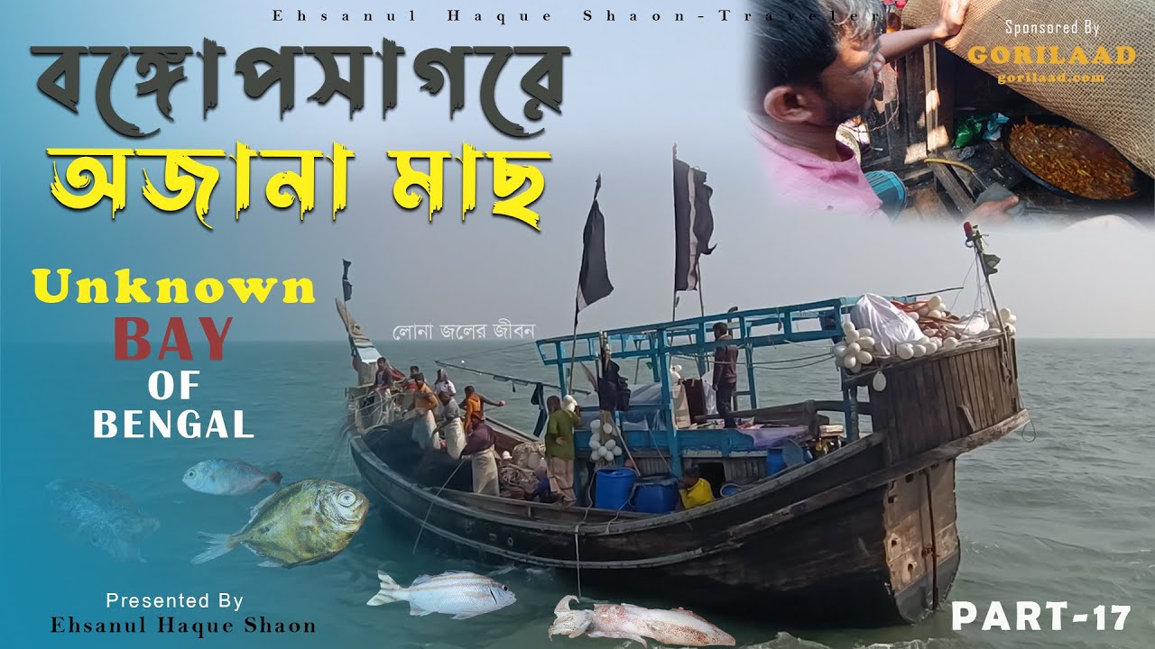 বঙ্গোপসাগরের অজানা মাছ রেড প্যানডোরা ও ট্রিভেলি | Deep Sea Fishing In Bangladesh