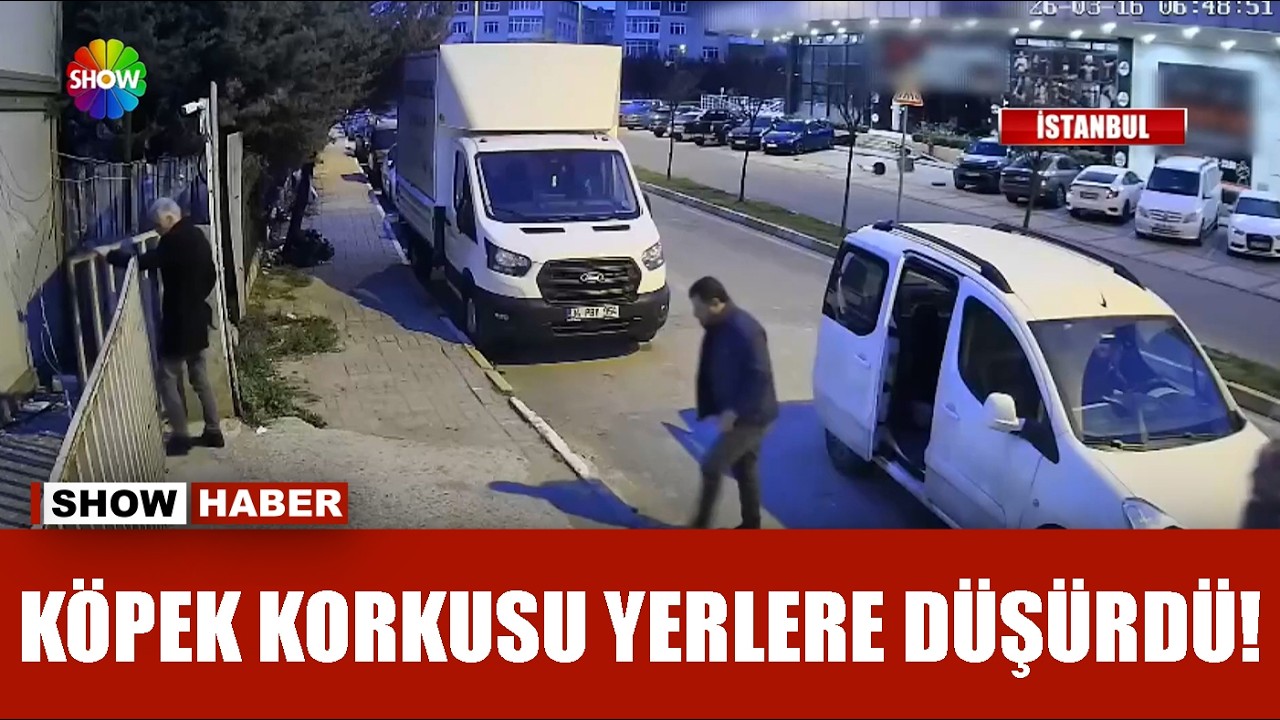 Bekçi köpeğinden bayram sürprizi!