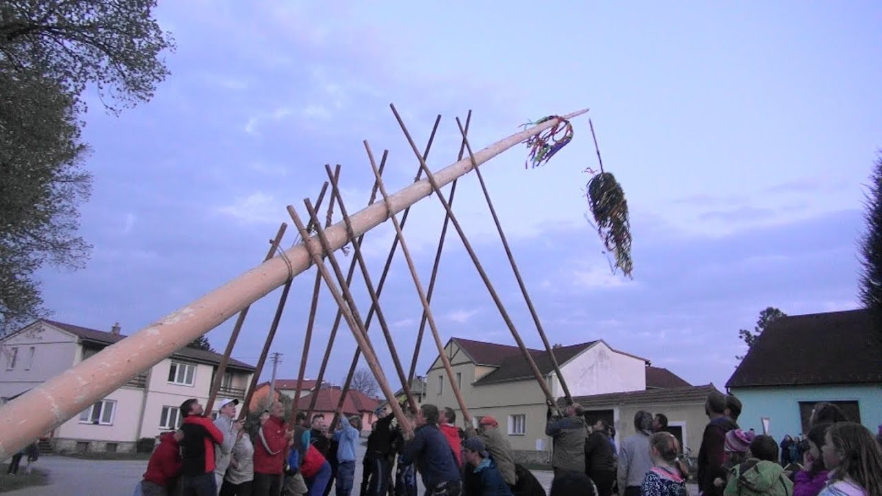 30. 4. 2019. Když se nedaří stavět májku v Chlumu.(CK)