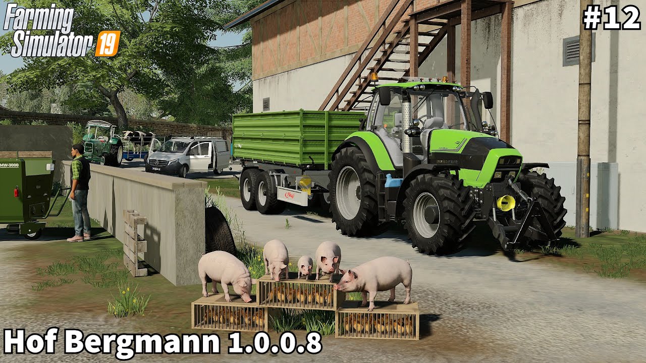 🇩🇪 Продажа поросят и цыплят, установка телят в загонах 🇩🇪 │Hof Bergmann│FS 19│Timelapse#12
