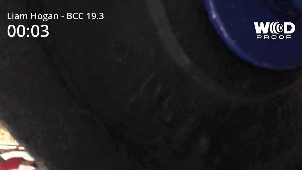 3 February 2019