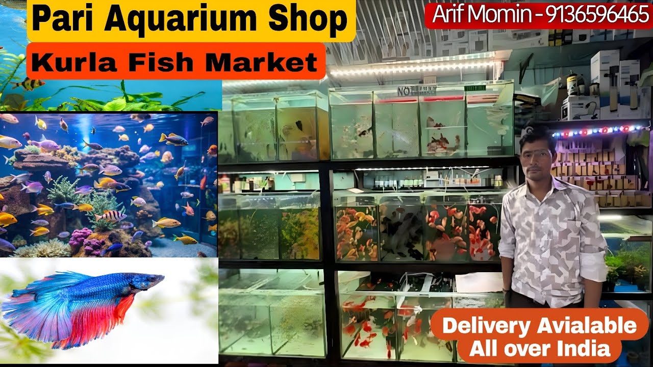 Wholesale Kurla Aquarium Fish Market | Pari Aquarium Kurla | Kurla Fish Market Latest Video🐠🐡🐟
